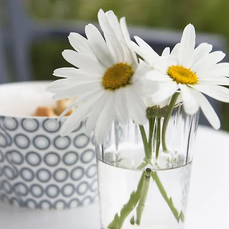 Strand49 Glamping Sint Maartenszee Holiday park